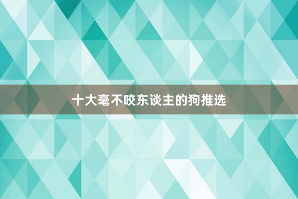 十大毫不咬东谈主的狗推选